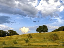 photoallschwil_ danielfuchs_23